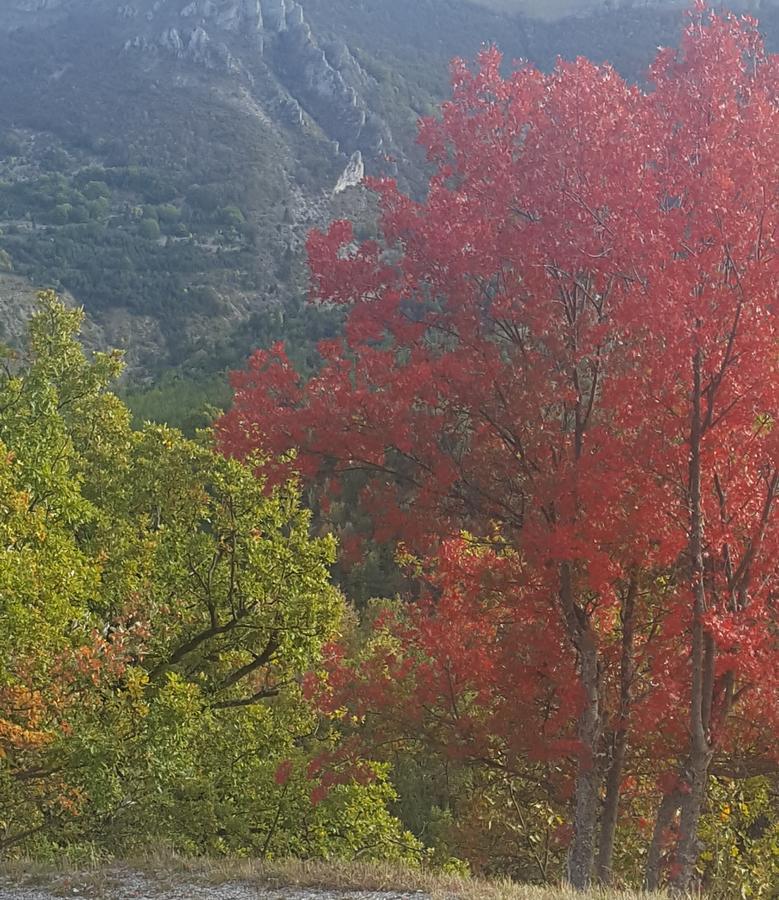 Auberge De Barret Sur Meouge Dış mekan fotoğraf
